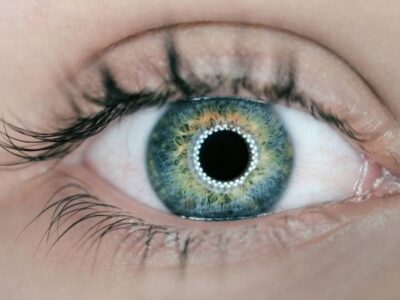 Oeil bleu avec lentille