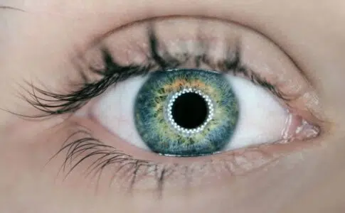 Oeil bleu avec lentille