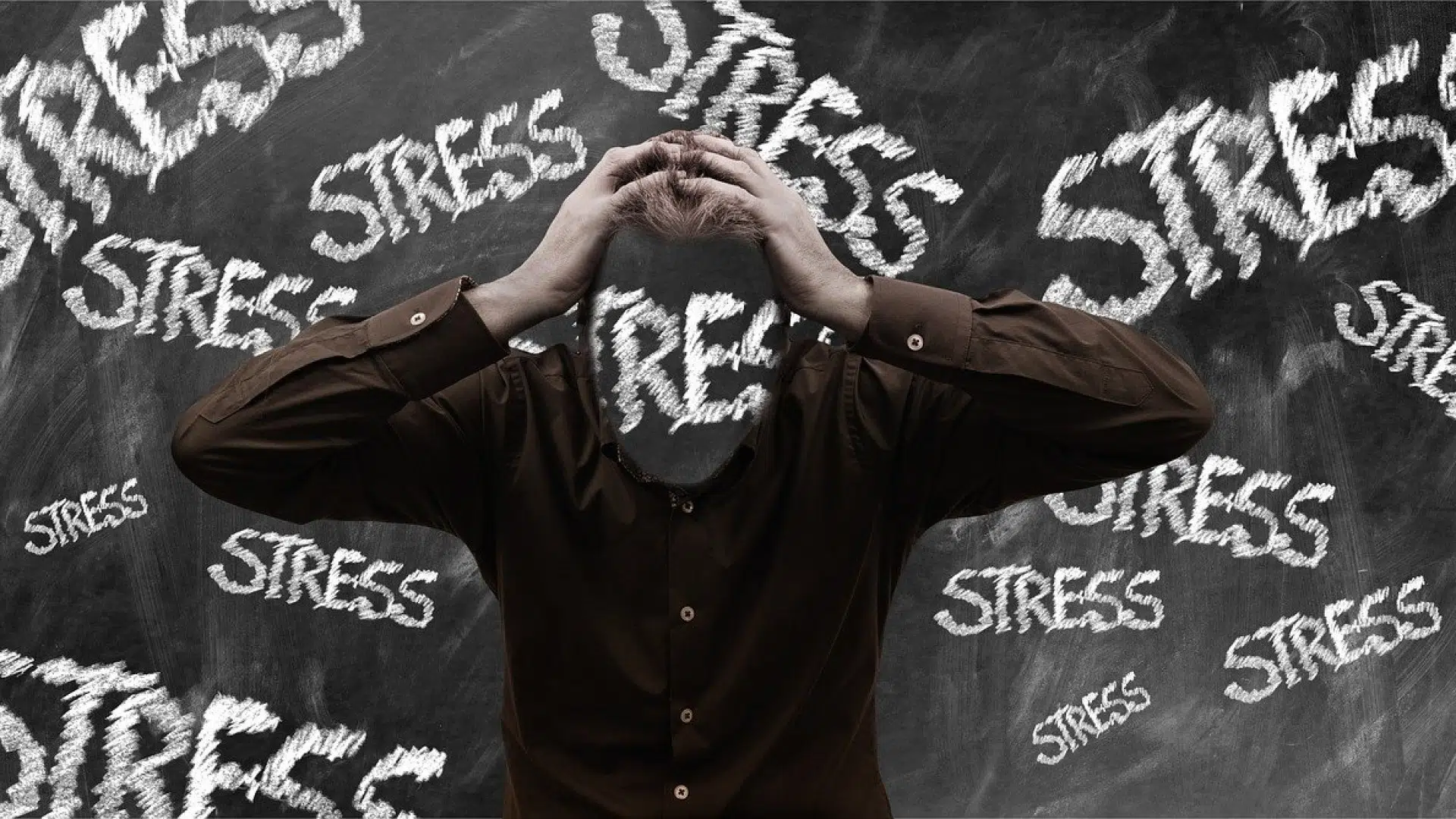 Pourquoi l'ashwagandha est-elle une bonne plante pour le stress ?