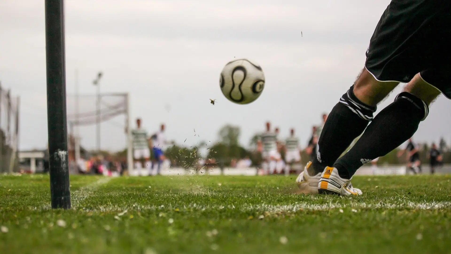Pourquoi recourir aux sites d'informations sportives ?