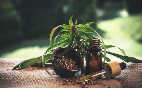 Que savoir sur les différents produits conçus à base de CBD ?