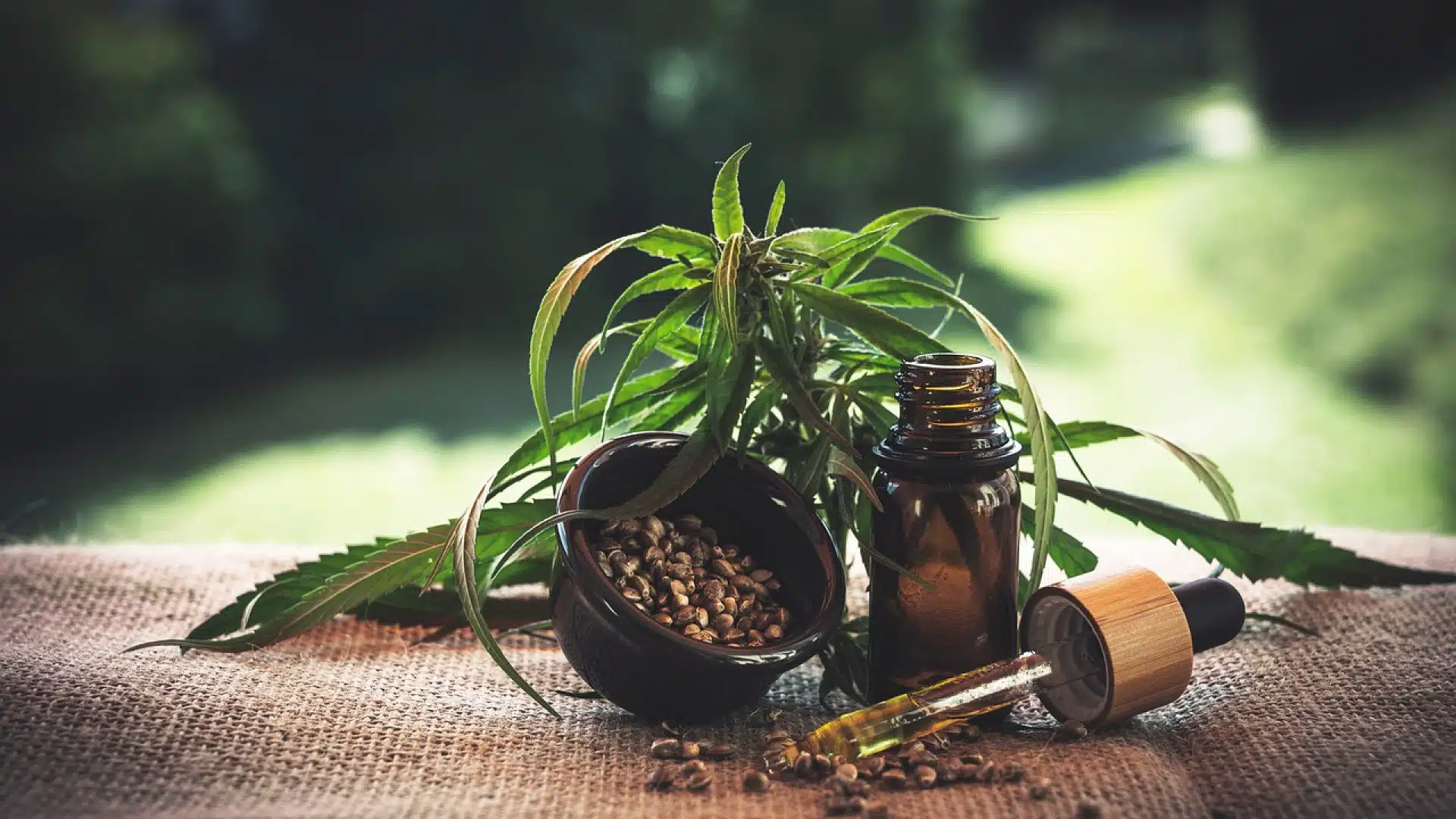 Que savoir sur les différents produits conçus à base de CBD ?