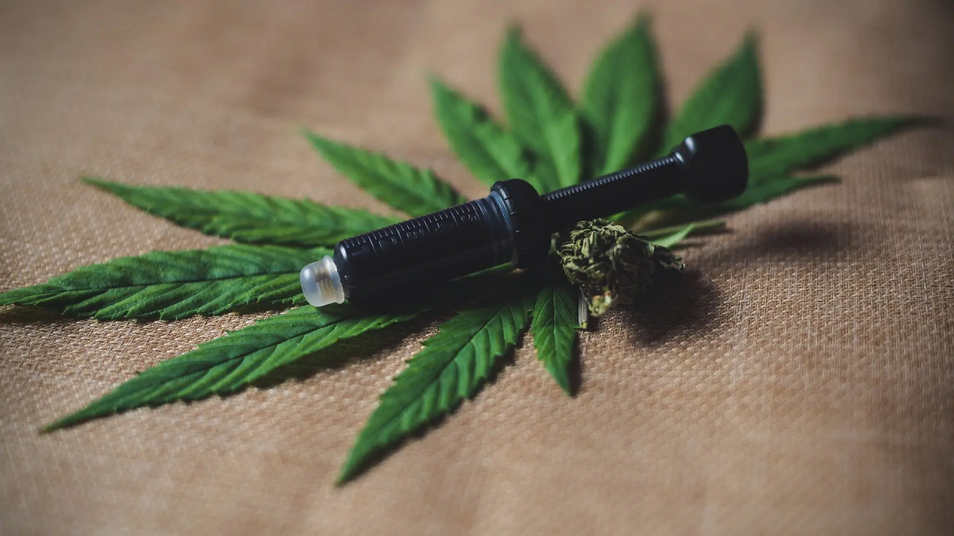 Soulagez votre stress avec le CBD